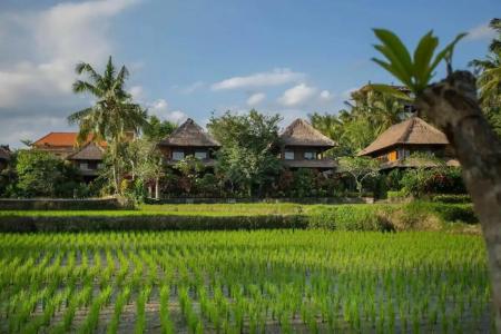 Alpin Resort and Villa Ubud - 4