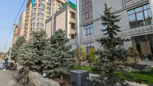 Garden - 19