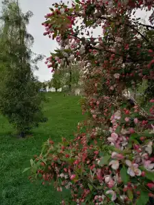 Апарт отель Семашко - 42