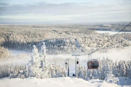 Ski-Inn RukaSuites - 13