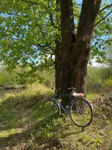 Камыши база отдыха - 10