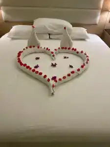 Beach Albatros Resort - 47