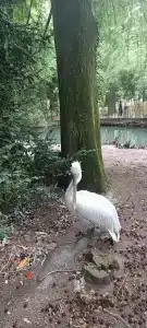 Okatur Tourist base - 68