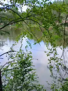 Park razvlecheniy Chyornoe ozero - 2