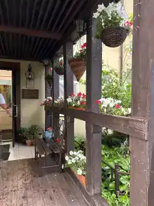 Екатерингоф - 43