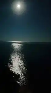 Villa Plaza Guest House - 26