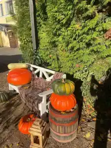 Usadba Pleshanova - 19