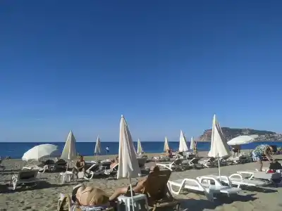 Kaila Krizantem - 89