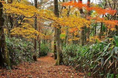 Hakone Guesthouse Toi - Hostel - 11
