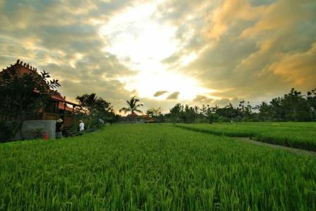 KajaNe Yangloni at Ubud - 35