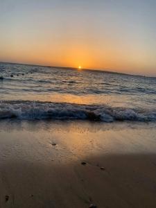 Seagull Beach Resort - Families and Couples Only - 22