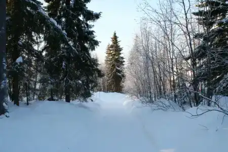 Kuskas Tourist base - 51