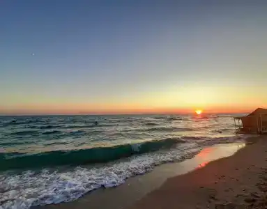 Kottedzhi u morya Palm Beach Resort na 11 nomerov - 1