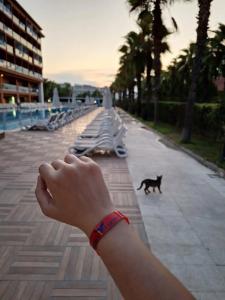 Club Side Coast - 31