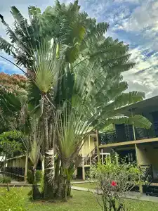 Berjaya Beau Vallon Bay Resort & Casino - 46