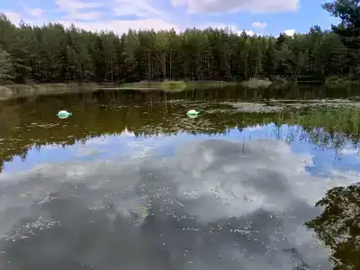 Park razvlecheniy Chyornoe ozero - 4
