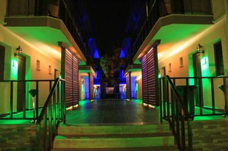 Dolphin Apart & - 41