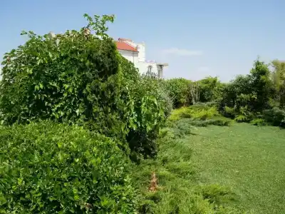 Villa Venetsiya - 45