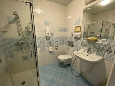 Трезини Арт-отель - 70