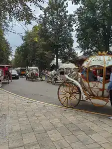 Золотой Ручей - 62