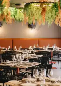 Ikyk- IK Collection - 0