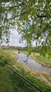 Усадьба на Спасской - 86