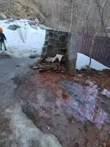 Сосновый Бор - 88