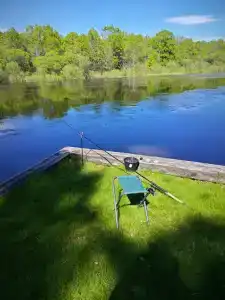 Berezinskaya Dubrava - 9