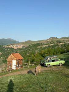 Concept by Coaf - 36