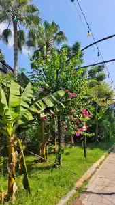 Kleopatra Micador Otel - 28