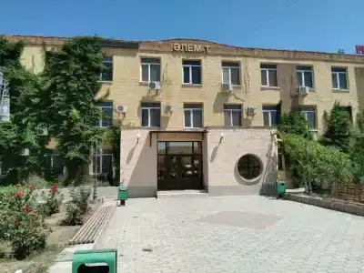 Elem T - 12