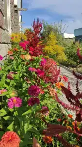 Recreation center Madagaskar - 56