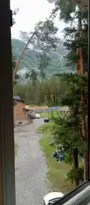 Сосновый Бор - 96