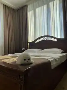 Лазурный берег - 69
