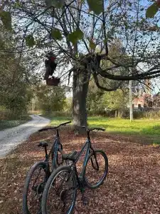 Eko-otel Mordasovo - 48