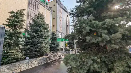 Garden - 7