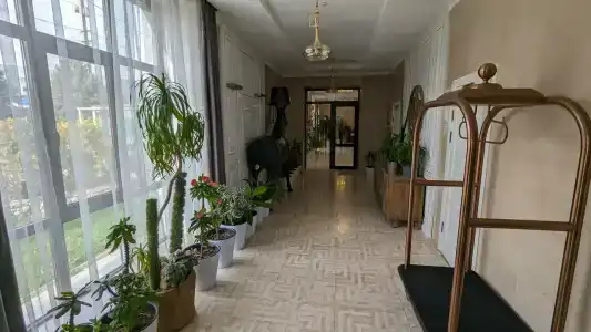 Garden - 46