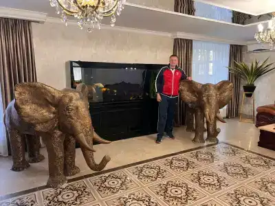 Gostinichny Kompleks "zolotoy Slon" - 89