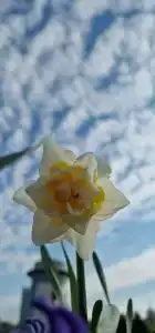 Славянская - 35