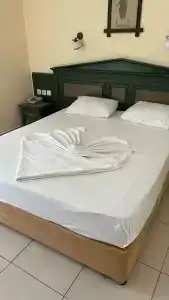 Kleopatra Royal Palm - 31