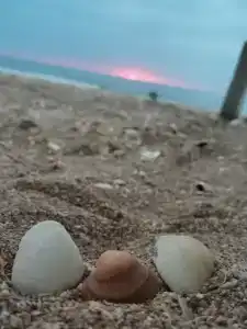 Zolotye peski Tourist base - 55