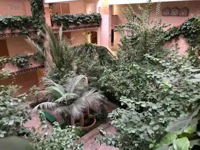 Парк Велес - 2
