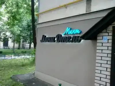 Mint on Tishinka - 36