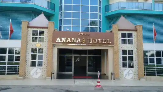 Ananas - 1