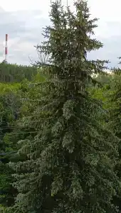 Sanatoriy-Profilaktory Olkhovka - 56