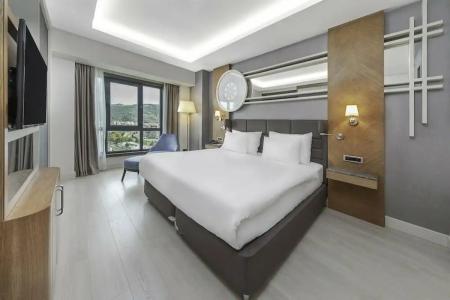 Dedeman Tokat - 75