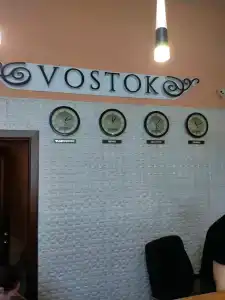 VOSTOK - 41