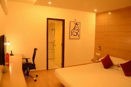 Red Fox, Jaipur - 27