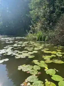 "Energetik" Sanatorium - 30