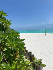 You & Me Maldives - 46